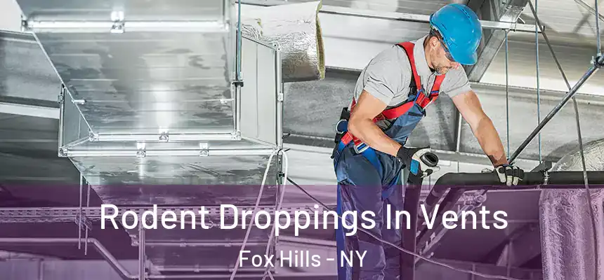  Rodent Droppings In Vents Fox Hills - NY