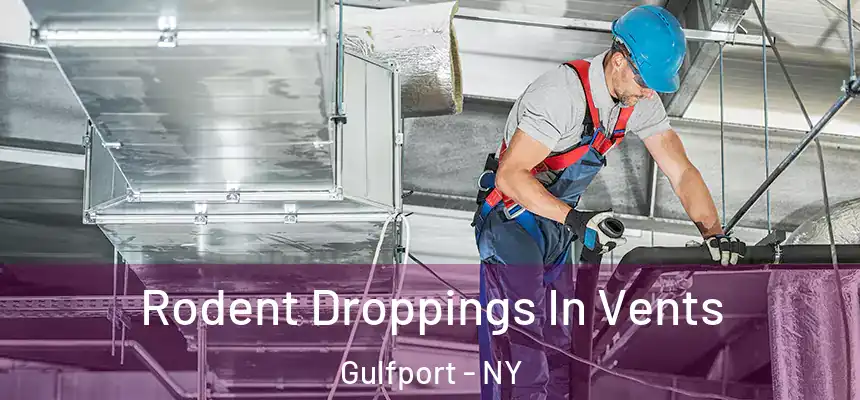  Rodent Droppings In Vents Gulfport - NY