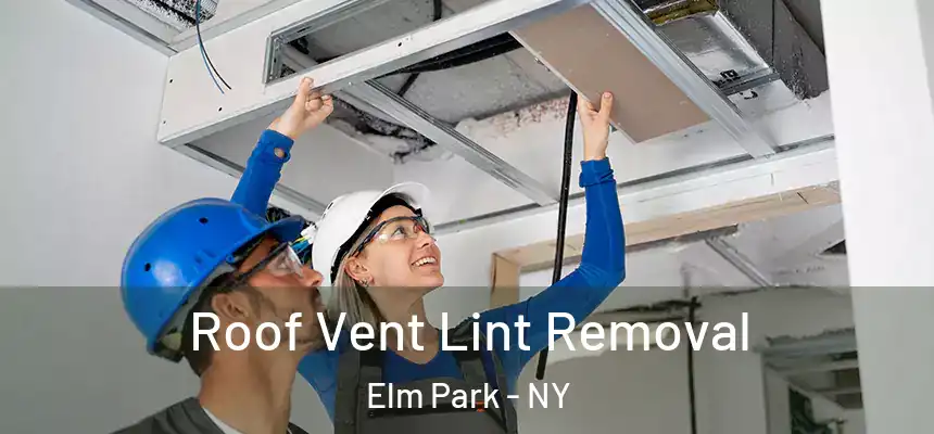 Roof Vent Lint Removal Elm Park - NY