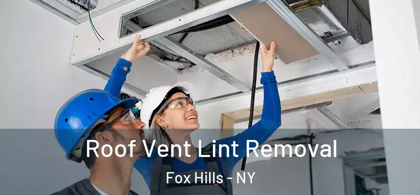 Roof Vent Lint Removal Fox Hills - NY