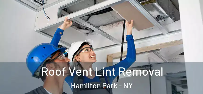  Roof Vent Lint Removal Hamilton Park - NY