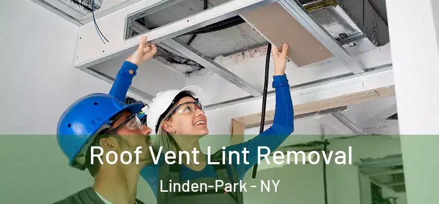 Roof Vent Lint Removal Linden-Park - NY