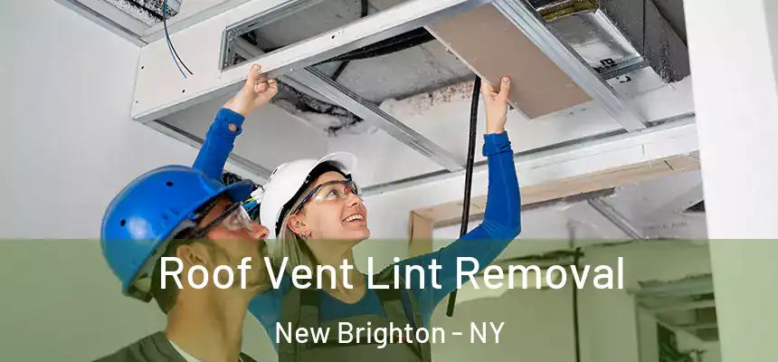  Roof Vent Lint Removal New Brighton - NY