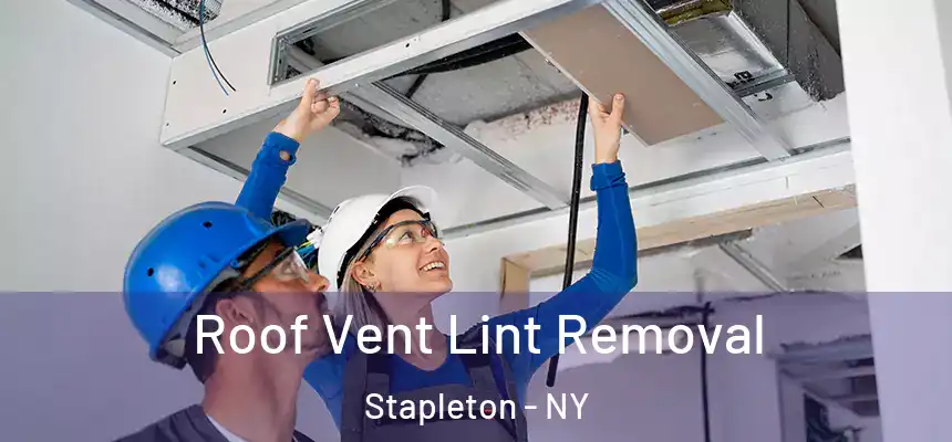 Roof Vent Lint Removal Stapleton - NY