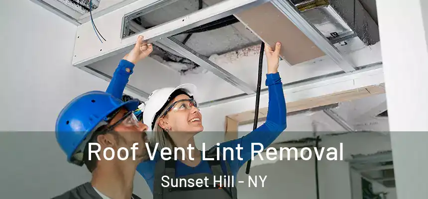 Roof Vent Lint Removal Sunset Hill - NY