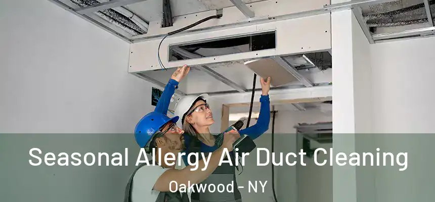  Seasonal Allergy Air Duct Cleaning Oakwood - NY