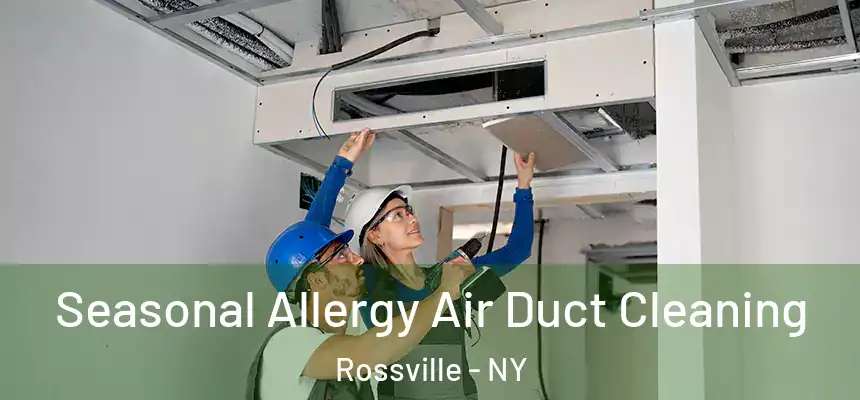  Seasonal Allergy Air Duct Cleaning Rossville - NY