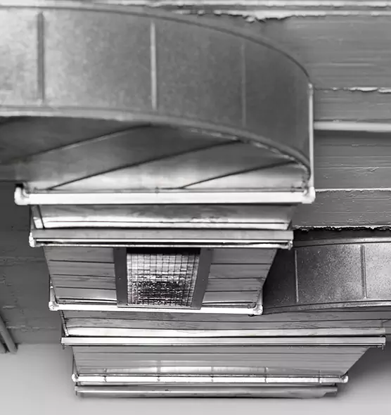 Professional Air Duct Pet Hair Removal in Staten Island, NY