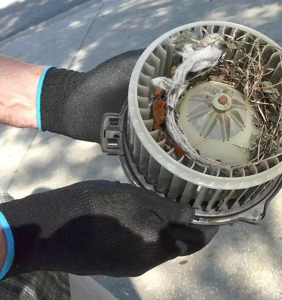 About Air Duct Rat Removal in Staten Island, NY