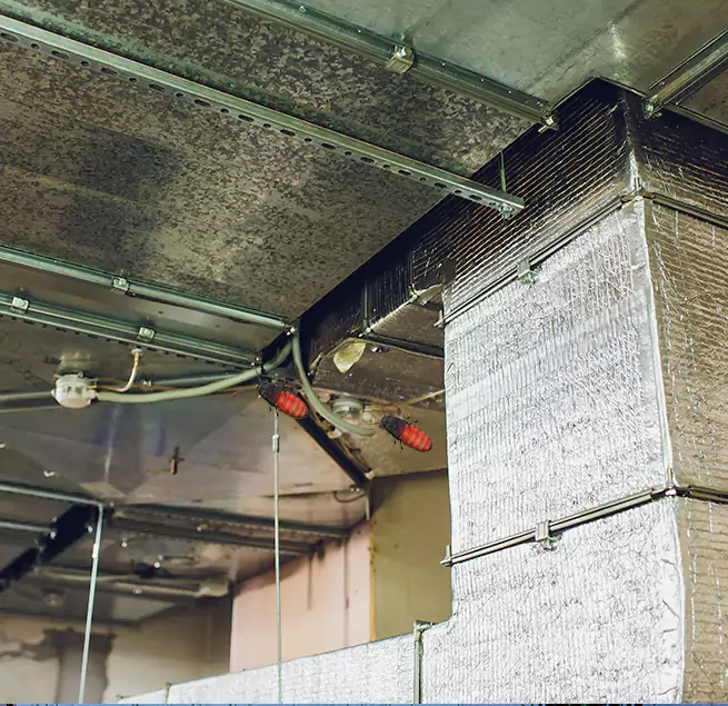 Why Homeowners & Businesses Trust Us in Staten Island, NY?