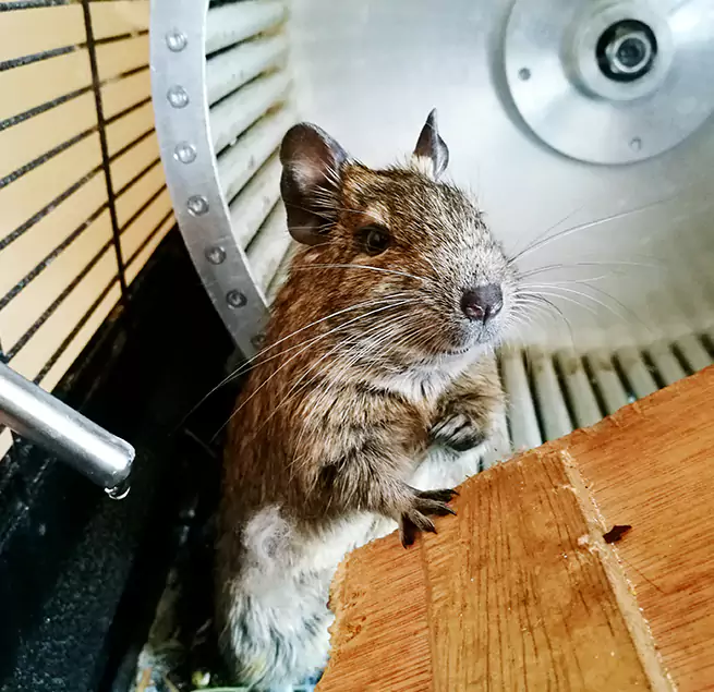 Why Homeowners & Businesses Trust Us Staten Island, NY?