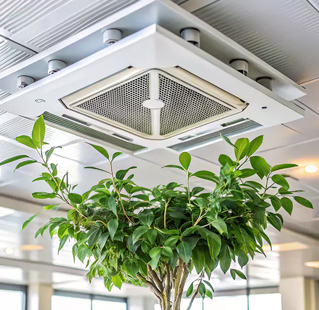 Why Homeowners & Businesses Trust Us in Staten Island, NY