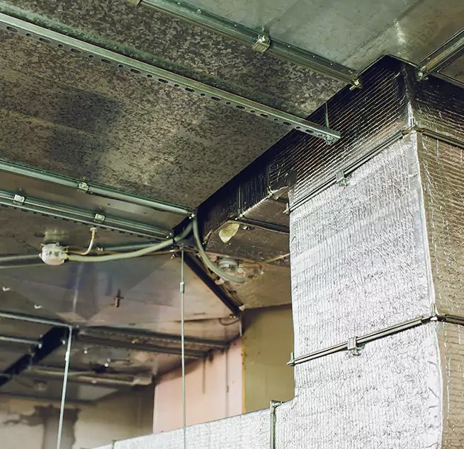 Why Homeowners & Businesses Trust Us in Staten Island, NY?