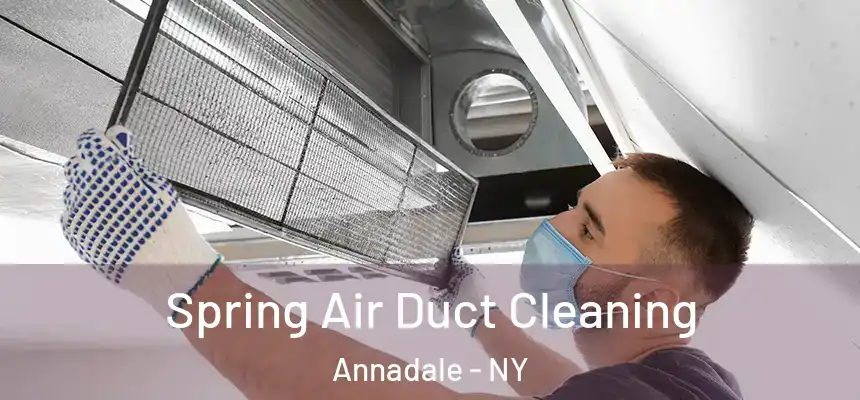 Spring Air Duct Cleaning Annadale - NY