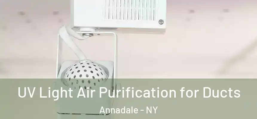 UV Light Air Purification for Ducts Annadale - NY