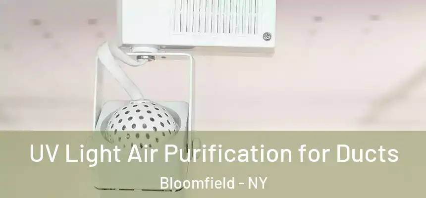 UV Light Air Purification for Ducts Bloomfield - NY