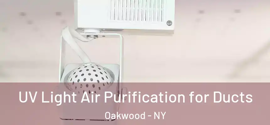 UV Light Air Purification for Ducts Oakwood - NY