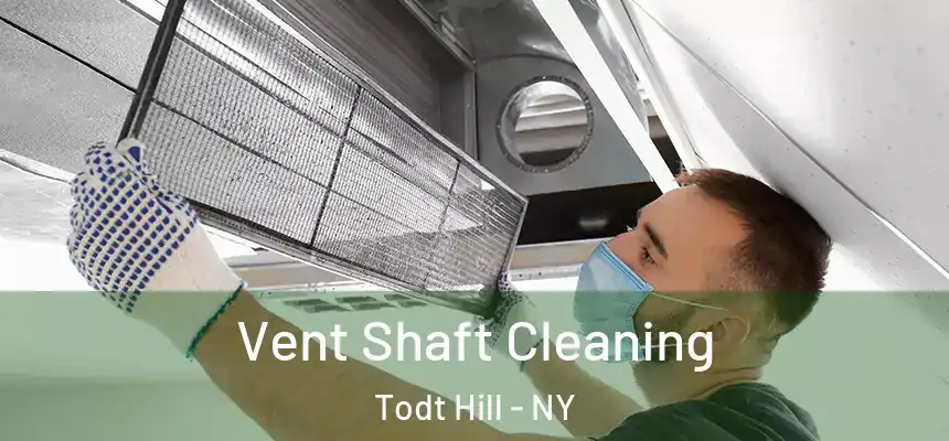 Vent Shaft Cleaning Todt Hill - NY