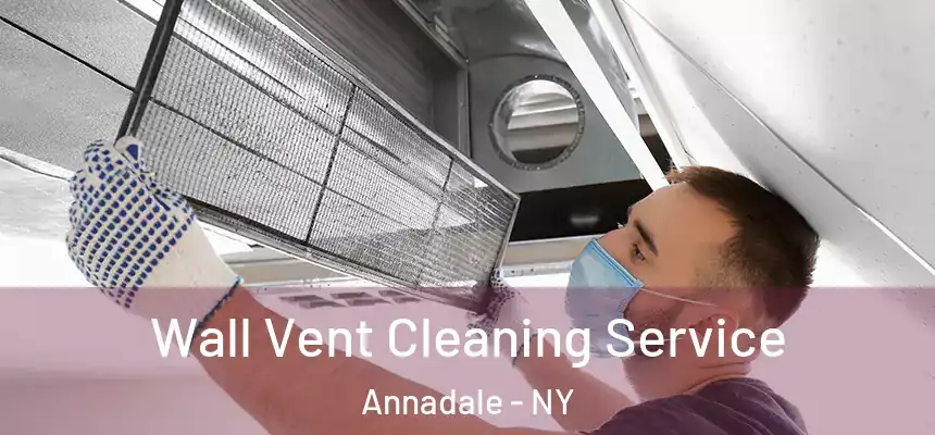 Wall Vent Cleaning Service Annadale - NY