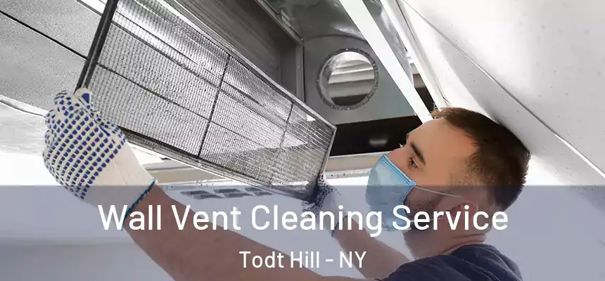 Wall Vent Cleaning Service Todt Hill - NY