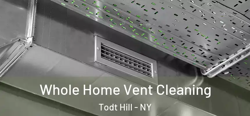 Whole Home Vent Cleaning Todt Hill - NY