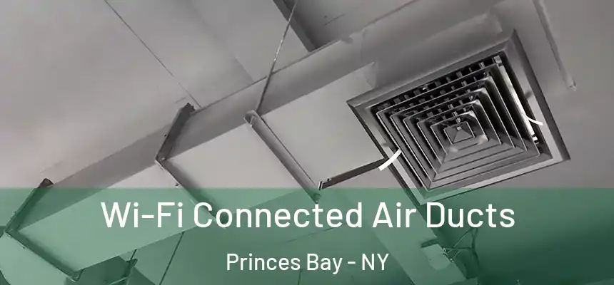Wi-Fi Connected Air Ducts Princes Bay - NY